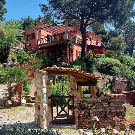 Villetta Dei Fichi D'India Rio dellʼElba Kültér fotó