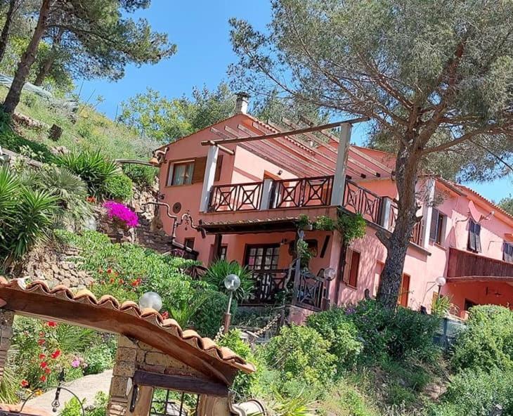 Villetta Dei Fichi D'India Rio dellʼElba Kültér fotó