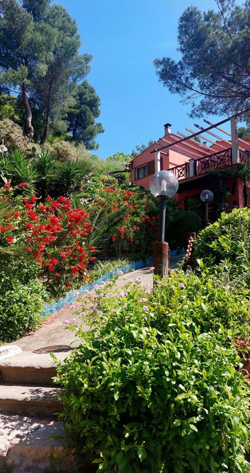 Villetta Dei Fichi D'India Rio dellʼElba Kültér fotó