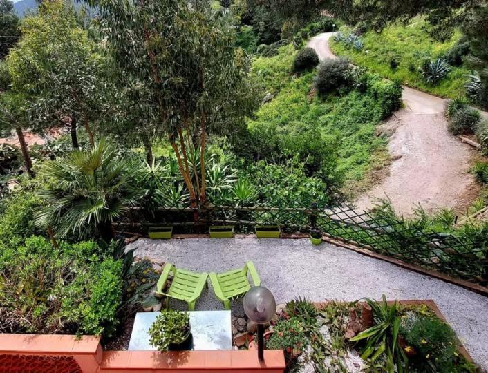 Villetta Dei Fichi D'India Rio dellʼElba Kültér fotó